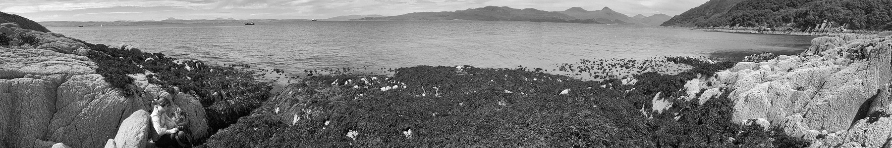 Contac Kerrie J Robinson