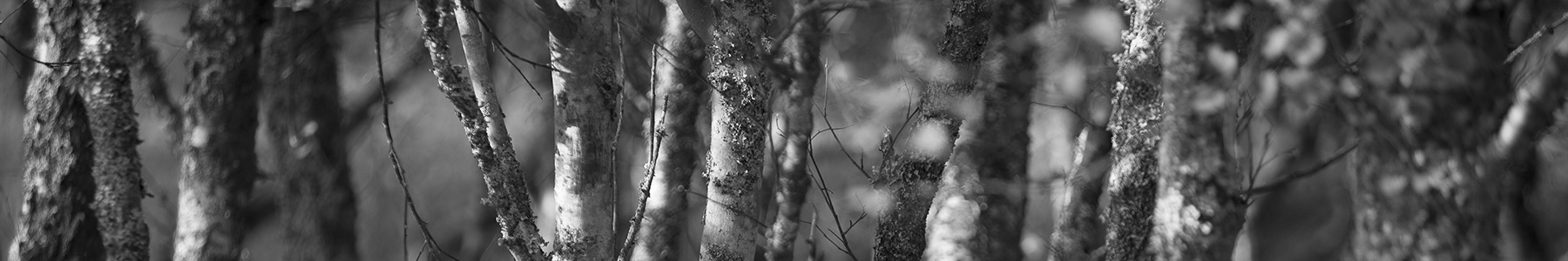 Kerrie J Robinson Videos