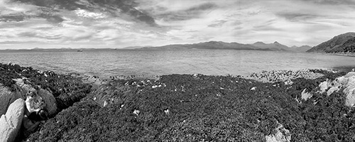 Contac Kerrie J Robinson